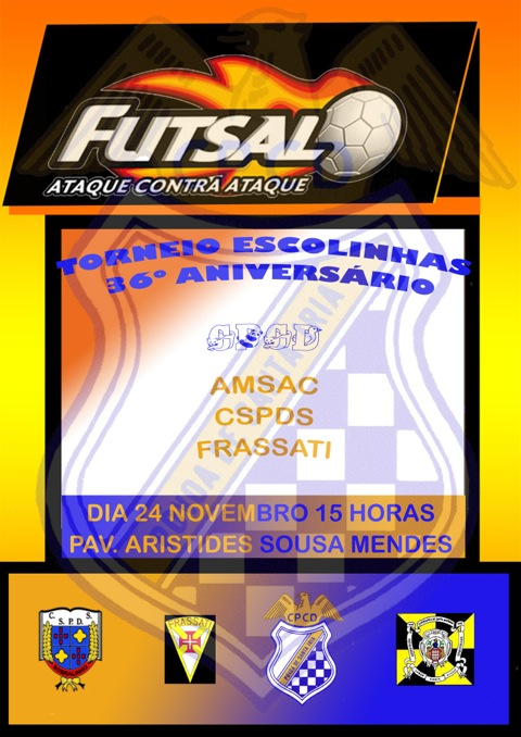 2012-1124-futsal